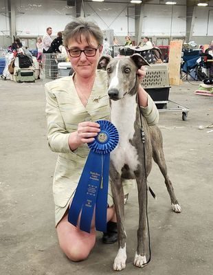 A woman holding a ribbon and a dog.