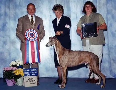 A group of people standing around a dog.