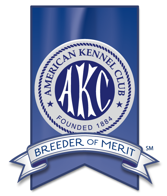 A blue banner with the american kennel club logo.