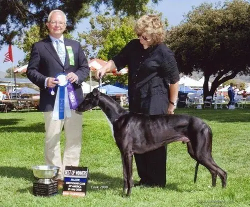 A man and woman holding a trophy for their dog.