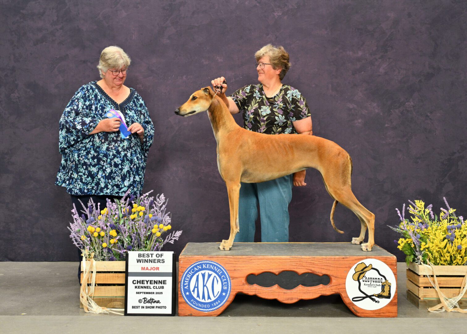 BIS_6156©_090125-GREYHD_BOW